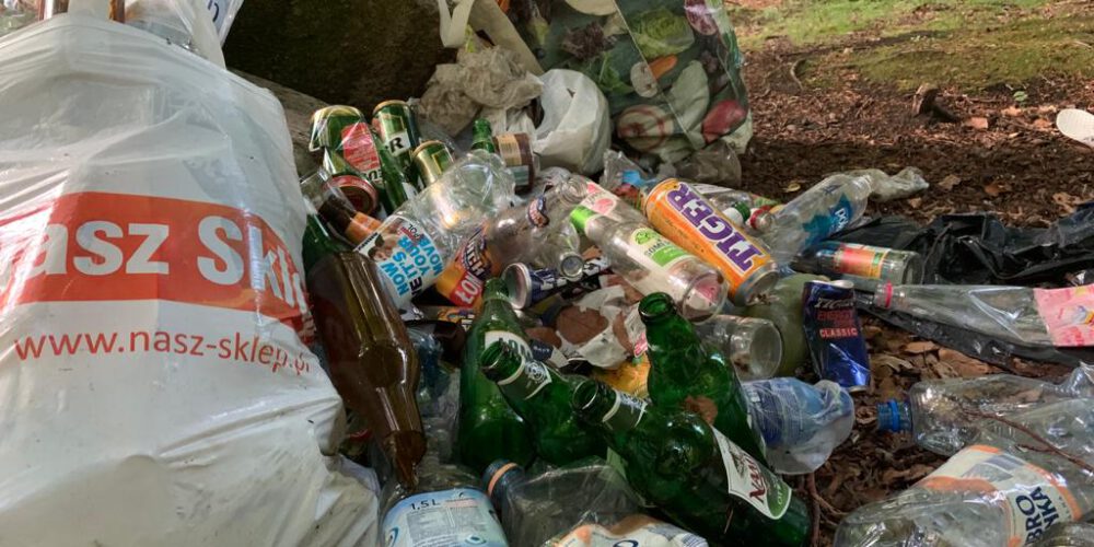 Kartuzy. „Sodoma i Gomora” w lesie koło miasta? (zdjęcia)