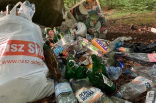 Kartuzy. „Sodoma i Gomora” w lesie koło miasta? (zdjęcia)