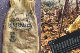 Gm. Kartuzy. Kot uwięziony w worku! „Najpierw pomyślałam, że to śmieci…”