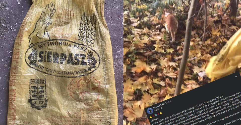 Gm. Kartuzy. Kot uwięziony w worku! „Najpierw pomyślałam, że to śmieci…”