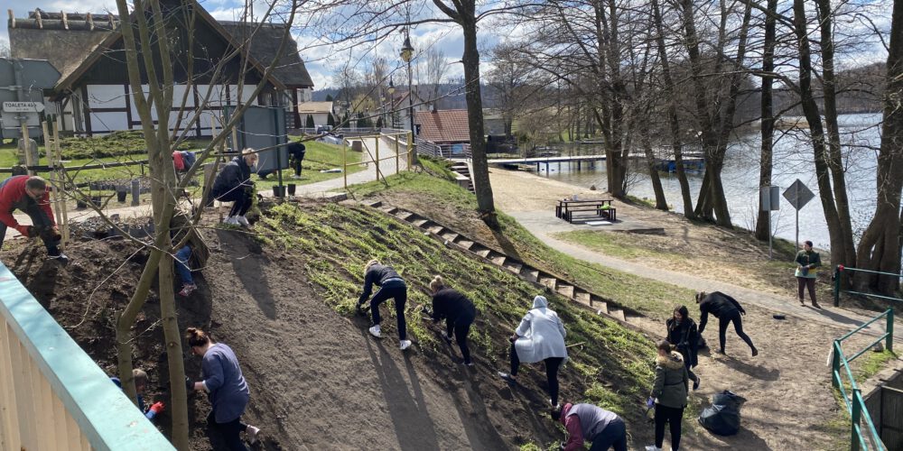 Ostrzyce. Warsztaty zielarsko-przyrodnicze. Posadzono rośliny w pobliżu informacji turystycznej