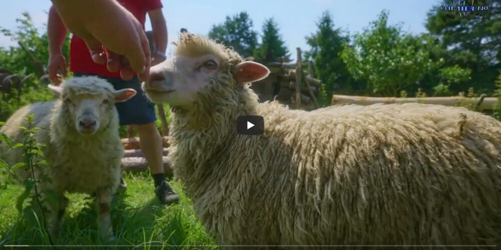 Miechucino. Poznaj Andrzeja Gańskiego i Janusza Gawlicę