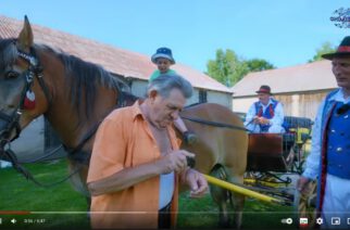 Gm. Chmielno. Poznaj Państwa Okuniewskich