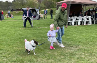 Chmielno. Wystawa rasowych psiaków strzałem w dziesiątkę. Zobacz zdjęcia!