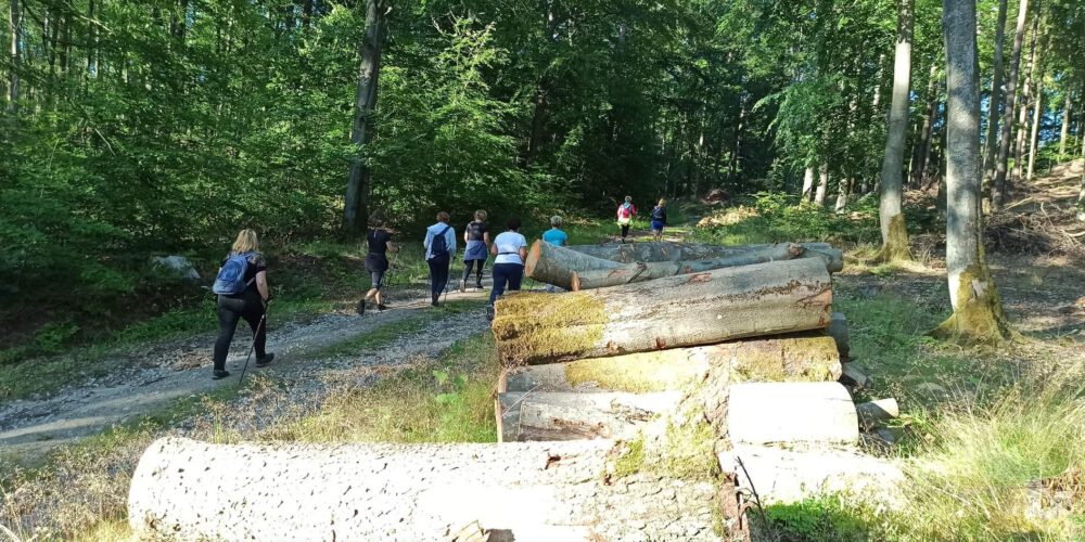 Sierakowice. „Drogołazy”, czyli sierakowiccy miłośnicy Nordic Walking