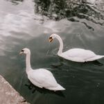 Szukasz pomysłu na prezent dla nowożeńców?