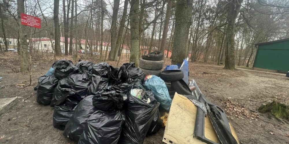 Dzierżążno. Sprzątanie lasu zakończone sukcesem. Burmistrz dziękuje radnej