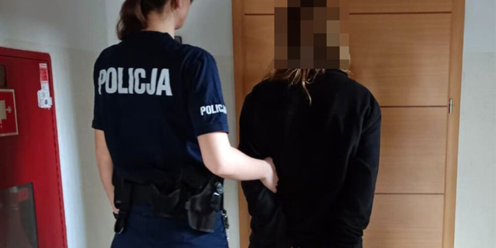 Chwaszczyno. Gryzła, wyzywała policjantów, a potem… chciała im dać łapówkę