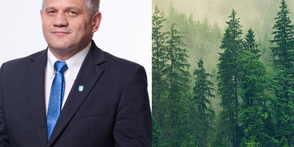 Pow. kartuski. Andrzej Bystron: „W lasach nie ma gospodarki rabunkowej, jak to przedstawiają niektórzy politycy…”