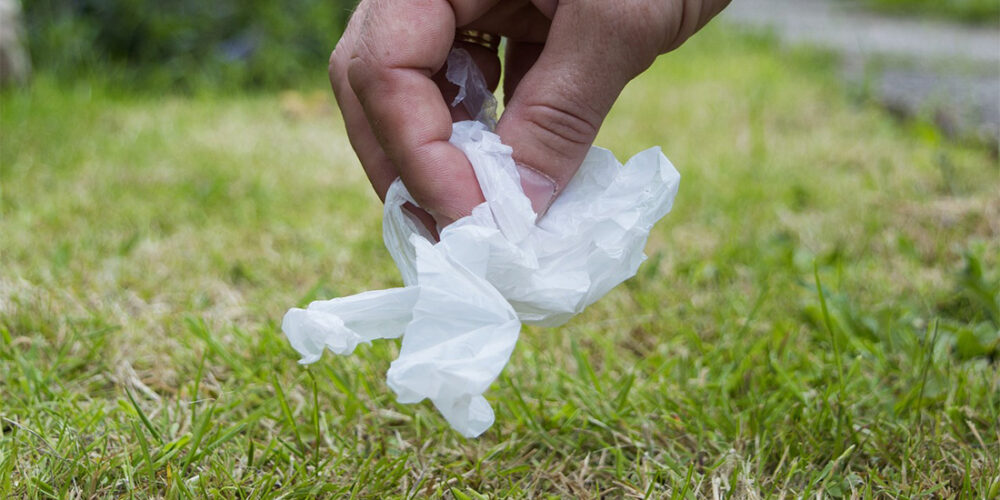 Kaliska. Jutro społeczne wiosenne sprzątanie okolicy