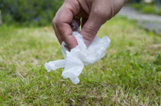 Kaliska. Jutro społeczne wiosenne sprzątanie okolicy