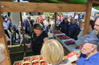 Chmielno. Na Festiwalu Truskawek Kaszubskich coraz tłumniej!