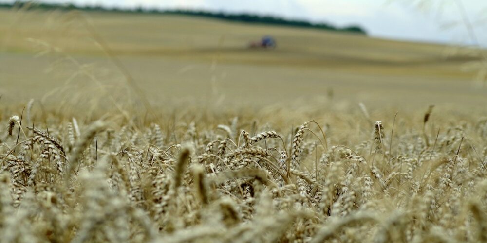 Trwają zgłoszenia do konkursu na „Najlepszą Prezentację Powiatu”