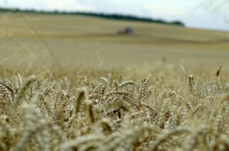 Trwają zgłoszenia do konkursu na „Najlepszą Prezentację Powiatu”