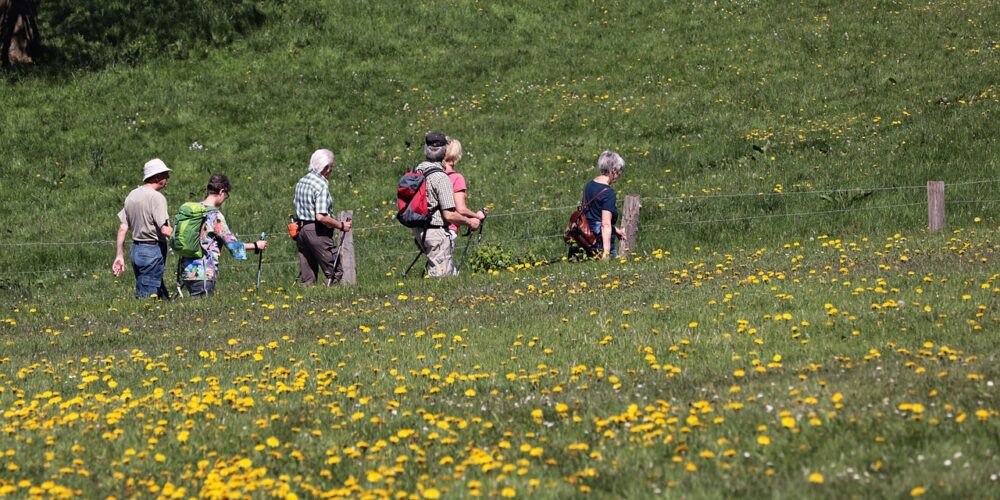 Wracają letnie spacery po Kartuzach