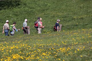 Wracają letnie spacery po Kartuzach