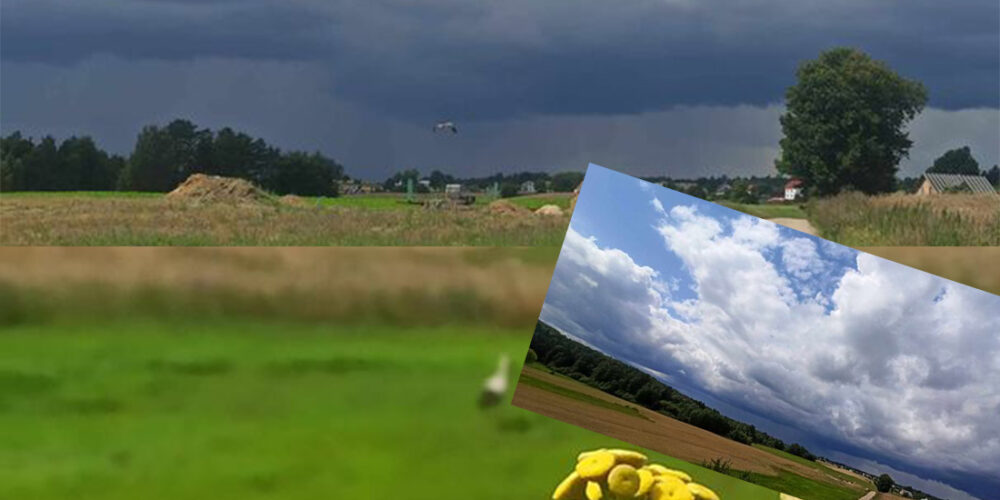 Zmienna lipcowa pogoda i „niesamowity bohater” na zdjęciach naszego czytelnika