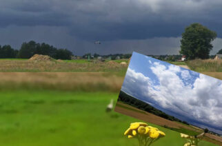 Zmienna lipcowa pogoda i „niesamowity bohater” na zdjęciach naszego czytelnika