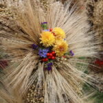 Wkrótce dożynki wojewódzkie, a tam wybór najpiękniejszego wieńca