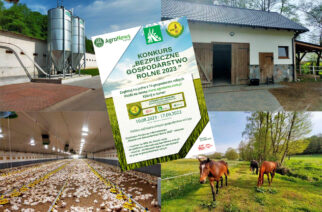 Zagłosuj internetowo na gospodarstwo Państwa Stromskich z Kczewa