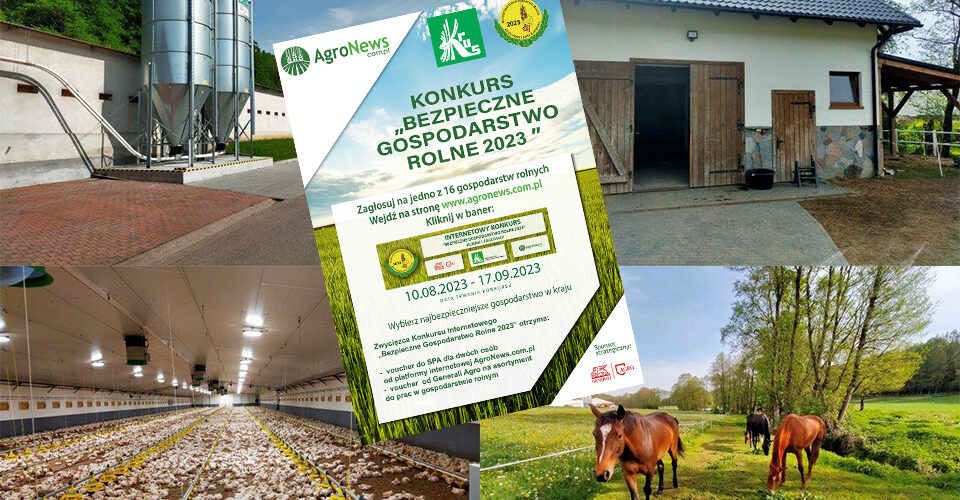 Zagłosuj internetowo na gospodarstwo Państwa Stromskich z Kczewa