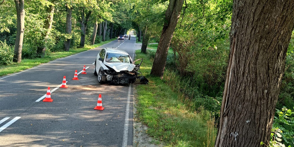 Brodnica Górna. Samochód uderzył w drzewo. Kierująca w szpitalu