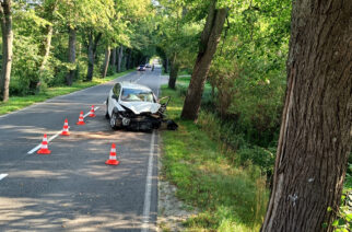 Brodnica Górna. Samochód uderzył w drzewo. Kierująca w szpitalu