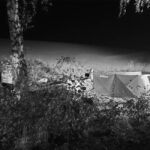 Lampa. Wypadek śmiertelny. 2 osoby nie żyją