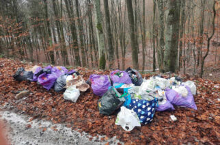 Kartuzy. Wyrzucił śmieci do lasu. Namierzono go po kilku godzinach