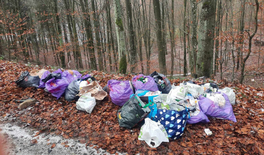 Kartuzy. Wyrzucił śmieci do lasu. Namierzono go po kilku godzinach