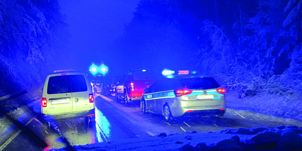 Strażacy walczą ze śnieżycą. Interwencje w Dzierżążnie i Hopowie