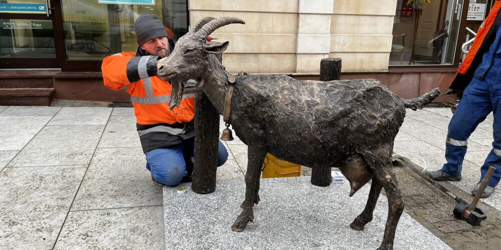 Koza „hitem” kartuskiego deptaka