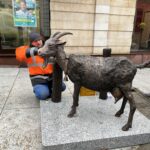 Koza „hitem” kartuskiego deptaka