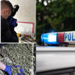 Uprawiali konopie indyjskie we własnym domu. 3-osobową rodzinę zatrzymano