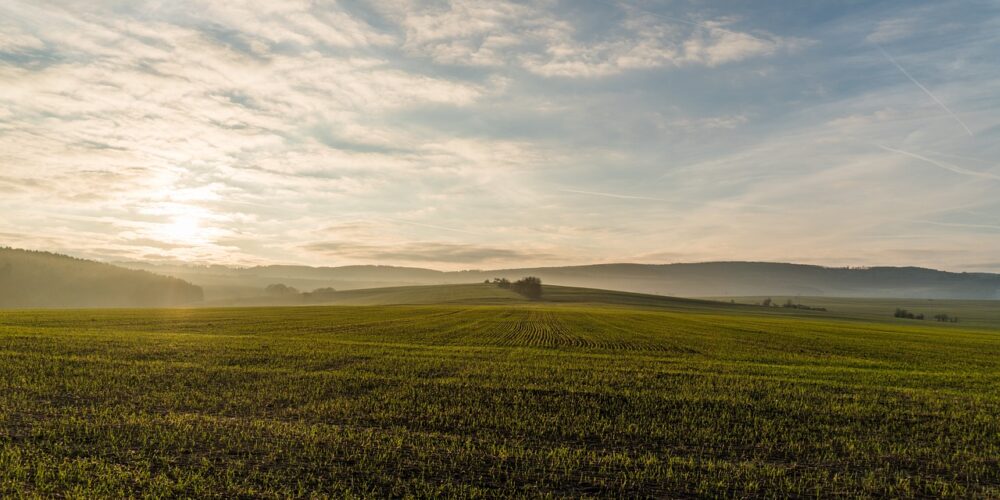 Gm. Somonino oferuje działki na sprzedaż