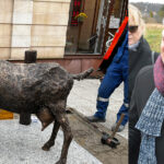 Andrzej Bystron o kozie na deptaku: „Bardziej przydałby się tam cap…”