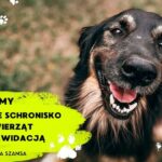 URATUJMY TO WYJĄTKOWE MIEJSCE – PROSIMY PAŃSTWA O POMOC !!!!