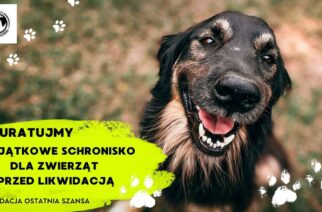 URATUJMY TO WYJĄTKOWE MIEJSCE – PROSIMY PAŃSTWA O POMOC !!!!