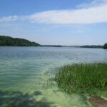 Trwają poszukiwania nastolatka na Jeziorze Tuchomskim. Wypadł z rowerka wodnego